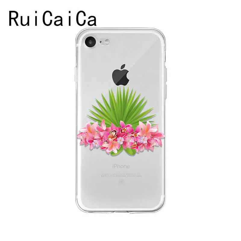 flower plant peony rose sunflower Lotus
