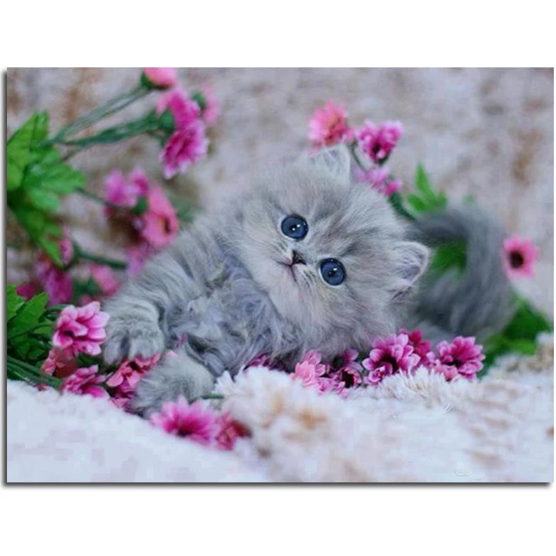 JULYC10125x20