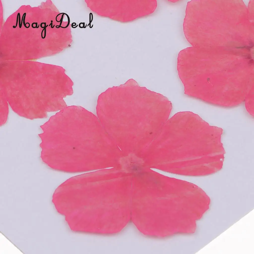 12 Pieces Natural Dried Flowers Real Flower Amaranthus for Kids Craft Card Making DIY Pendants Charms Jewelry