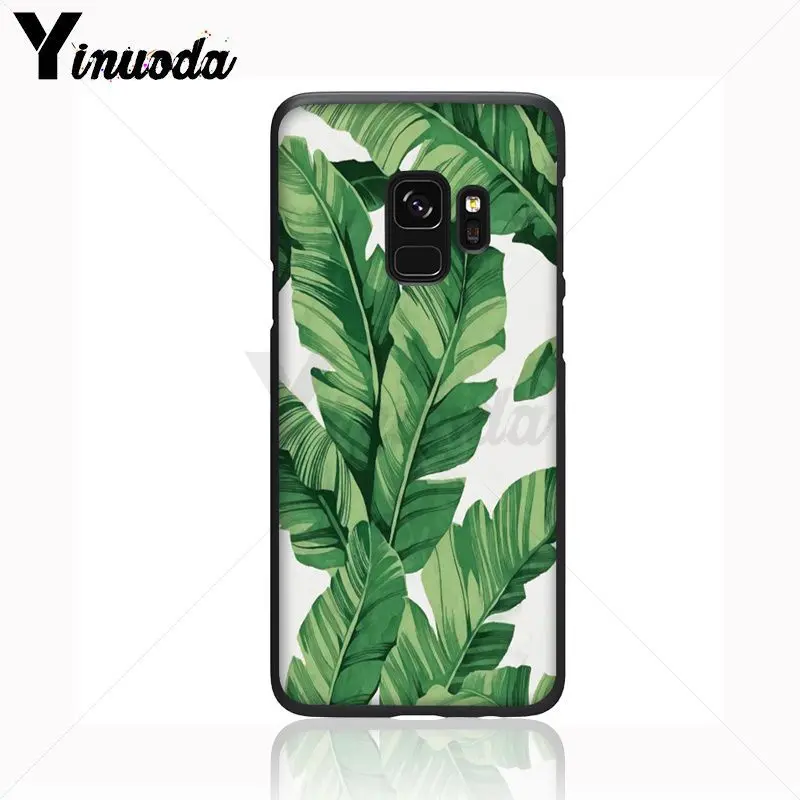 green plant leaves