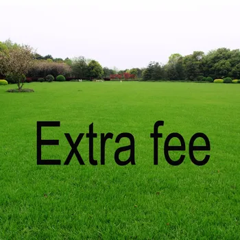 

Extra fee line