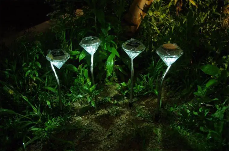 X1 (13)