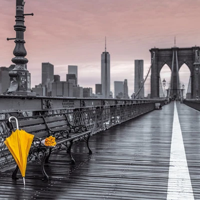 Assaf Frank Brooklyn Bridge Umbrella Poster Print (24 x 36)