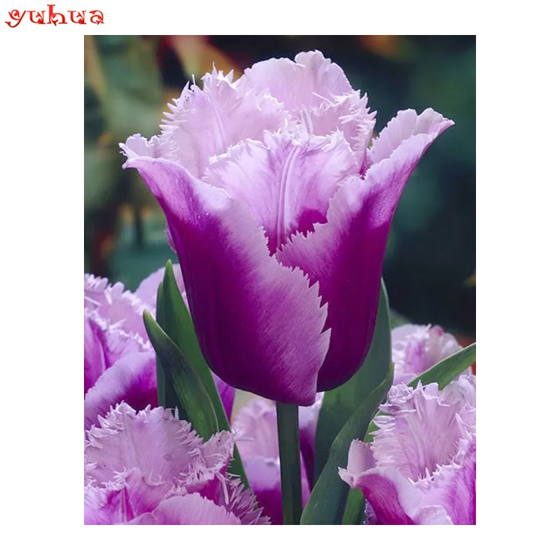 

Full Round Diamond mosaic Flowers Full Square Diamond painting tulip 5D DIY Diamond embroidery Cross stitch Loves 24