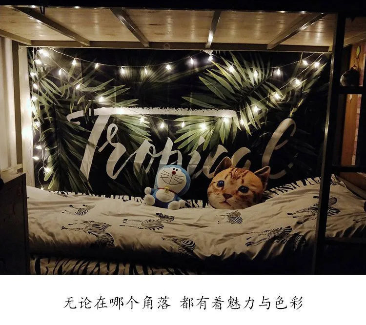//cbu01.alicdn.com/img/ibank/2018/235/909/9573909532_659697660.jpg