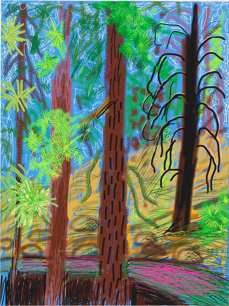 2010Yosemite National Park.Untitled.No.06