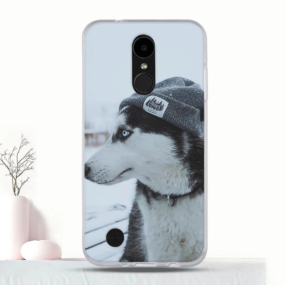 Для LG K4 2017 M160 чехол силиконовый задний бампер для LV1 Capa Романтический узор Phoenix 3 /