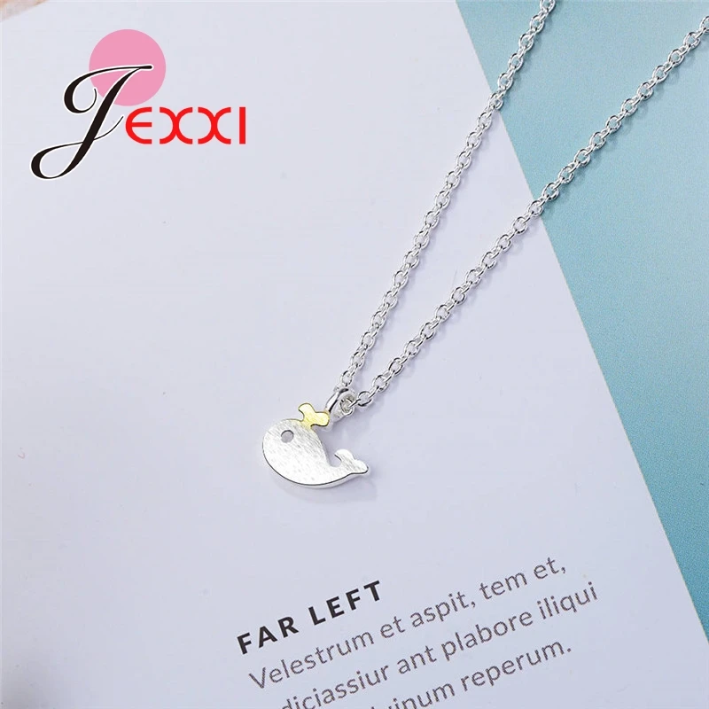 XDZ361 (3)