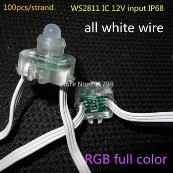 

DC12V WS2811 LED smart string,addressable,with all WHITE color wire,IP68 rated;epoxy resin filled;100pcs a string