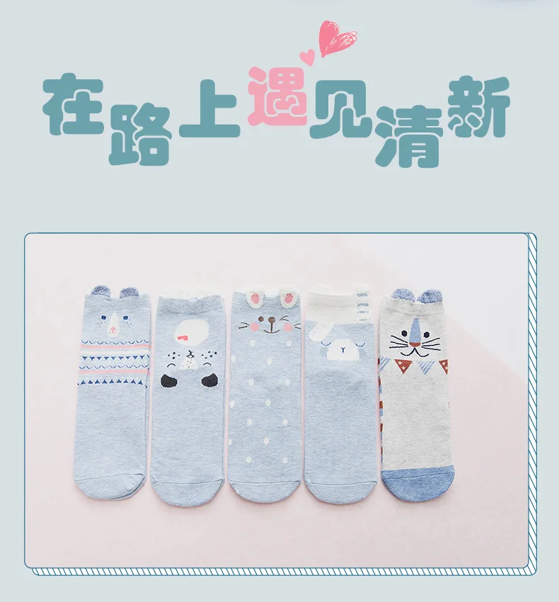 5 пар/лот корейский стиль женские носки милые Kawaii Носки кошка носки hello kitty хлопковые тапочки носки