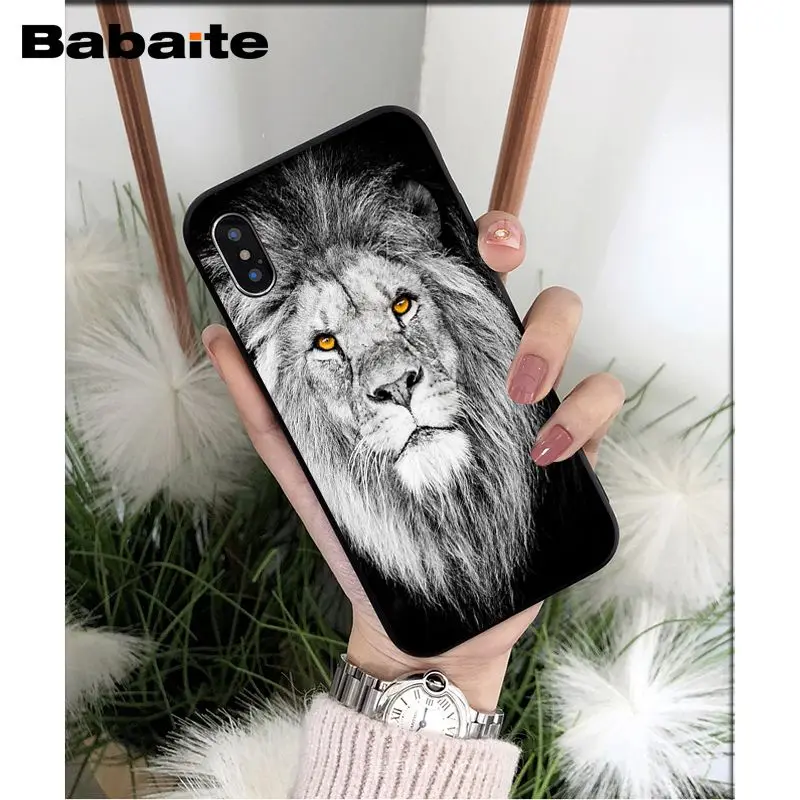 Animals lion