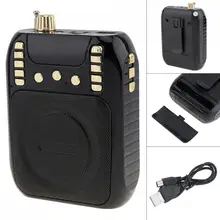 T506 портативное радио мини аудио карта динамик FM радио с аудио радио усилением для учителя руководство