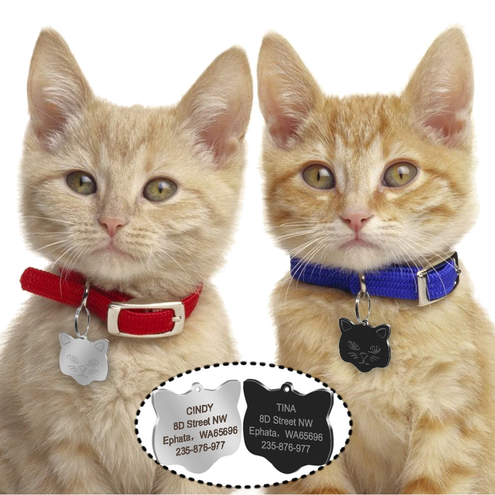 Cat Collar With Name Tag sites.unimi.it