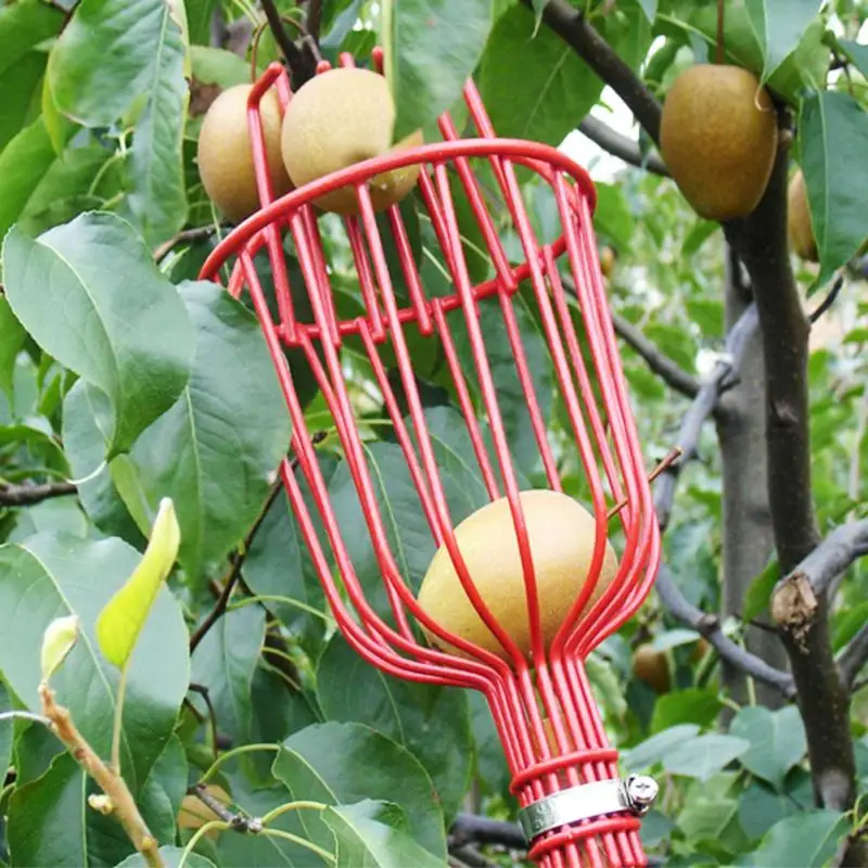 

NEW Potable Deep Basket Type Fruit Picker Telescoping aluminum handle Outdoor Gardening Picking Tool Convenient Fruit Picker