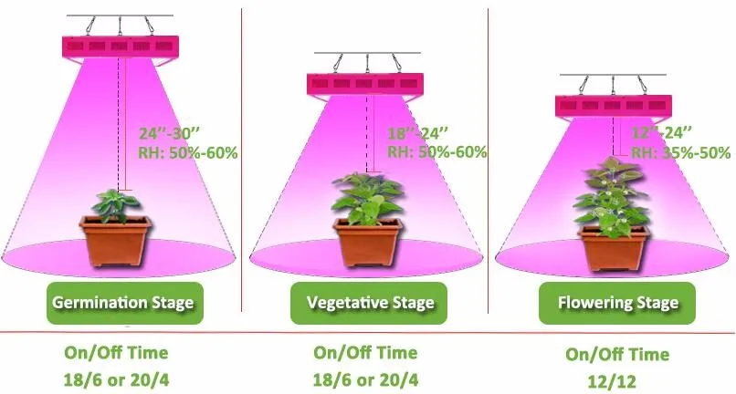 1574f4ad-f7ed-43de-83f2-0ee33cf9ecf2