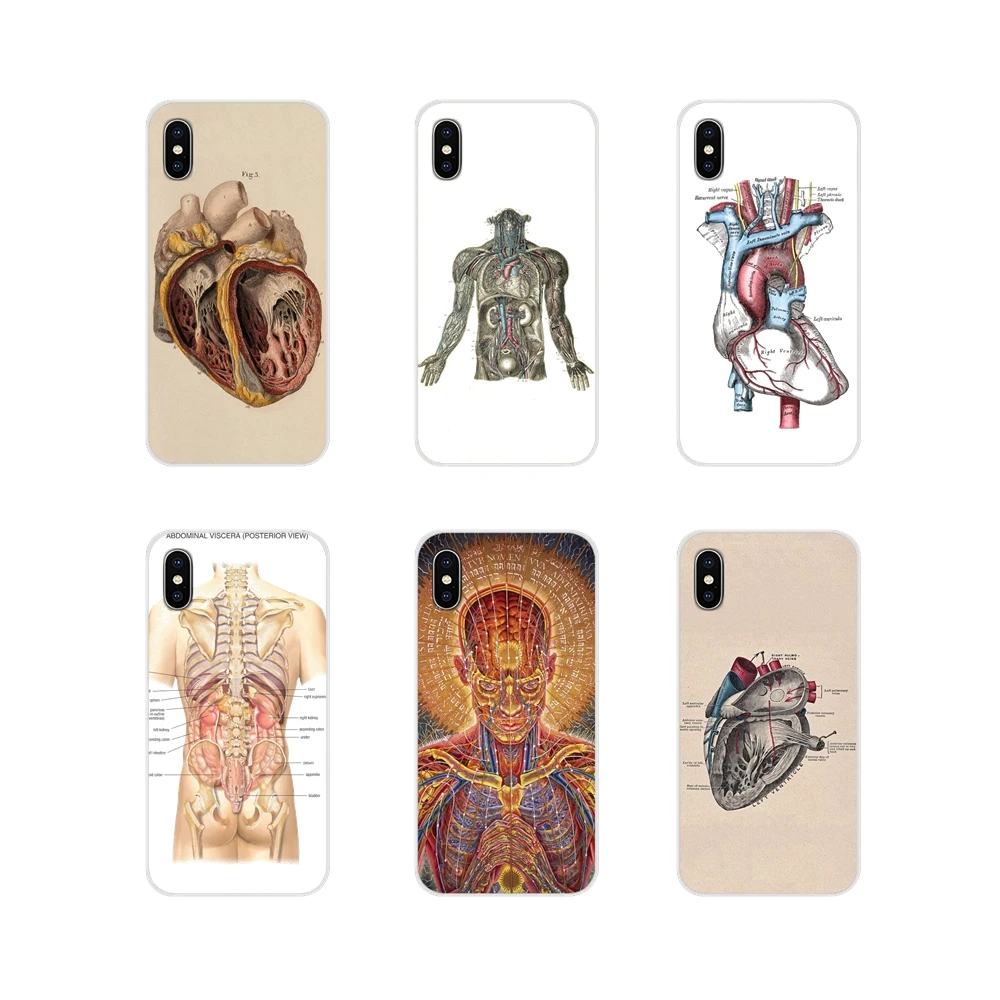 

For Huawei P Smart Mate Honor 7A 7C 8C 8X 9 P10 P20 Lite Pro Plus fashion Human Anatomy organ art Accessories Phone Cases Covers