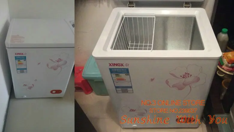 mini meat freezer