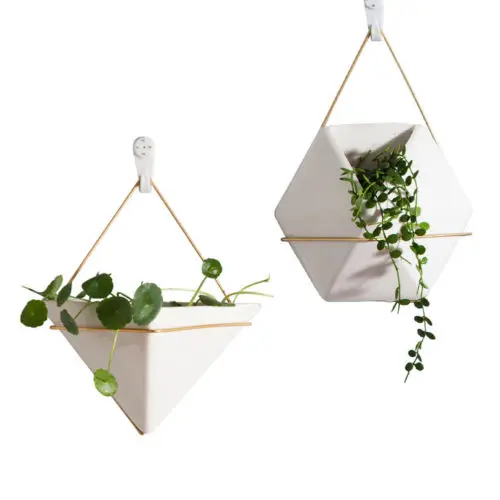 

Wall Hanging Green Plant Planter Box Ceramic Flower Pot Holder Ornament Hanging Basket