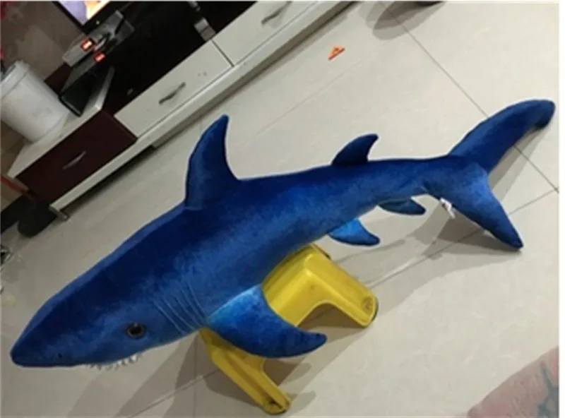 shark11