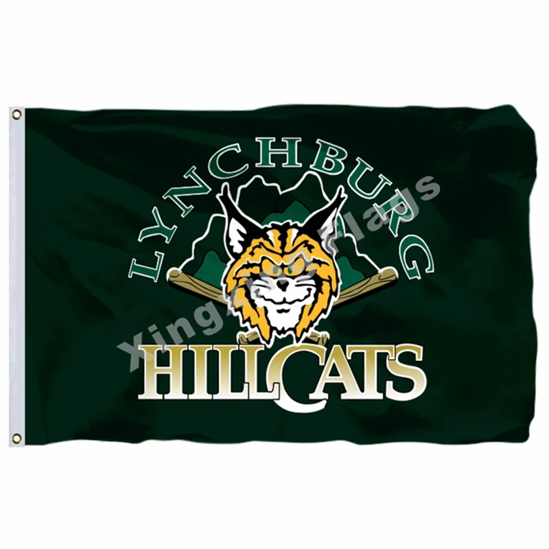 Lynchburg Hillcats Flag 3ft X 5ft Polyester Minor League Baseball Carolina League CRL Banner 144