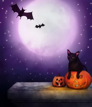 

bat and cat print halloween photography backdrop Art fabric newborn&pet pumpkin photography background BG-223