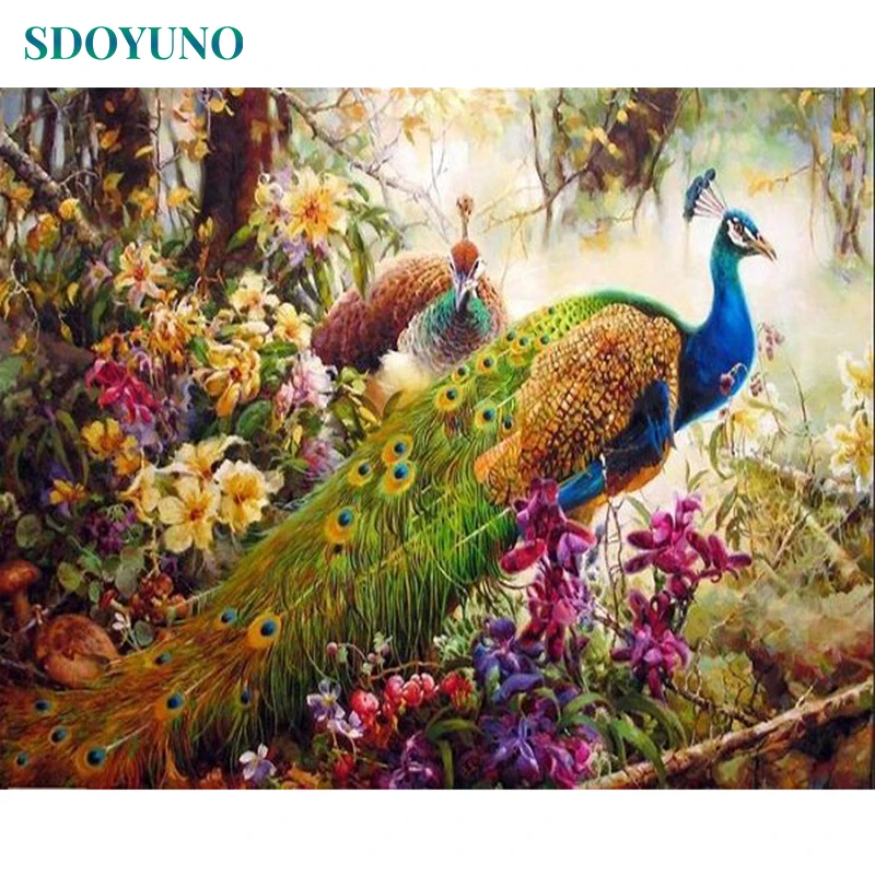 

SDOYUNO Frame peacock Animal DIY Painting By Numbers Modern Wall Art Coloring By Number acrylic paint on canvas for home decor