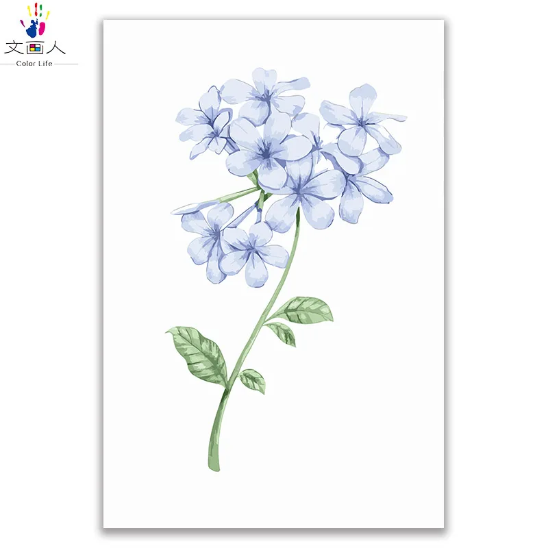 

Forgetfulness Plants Flowers Picture Painting By Numbers with kits on canvas Draw Coloring By Numbers Hoom room art wall decor