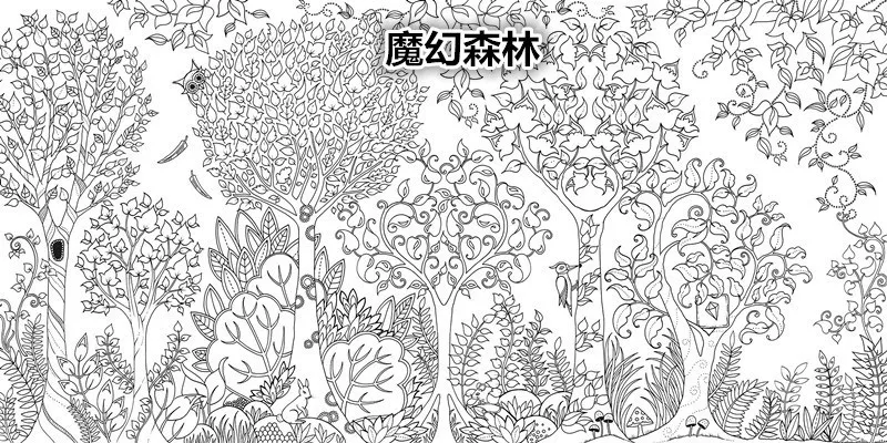 original english secret garden enchanted forest coloring book adult relieve stress graffiti painting drawing book korean books bulk book book computer casebook note aliexpress