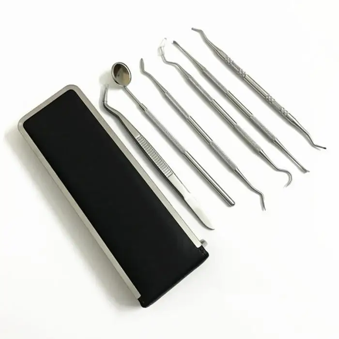 6 Pcs/Set Dental Tools Stainless Steel Hygiene Explorer Probe Hook Pick Scaler Mirror Tweezer Teeth Clean Kit With Case - - health-care 6 Pcs/Set Dental Tools Stainless Steel Hygiene Explorer Probe Hook Pick Scaler Mirror Tweezer Teeth Clean Kit With Case - - health-care