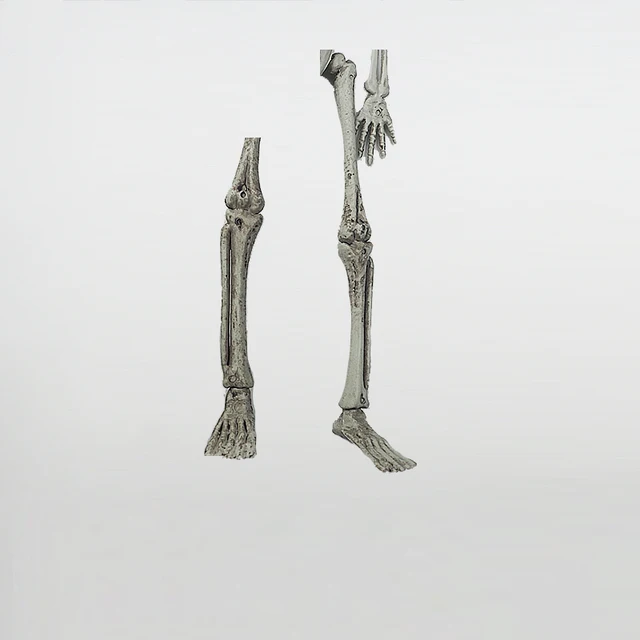whole body imitation of human