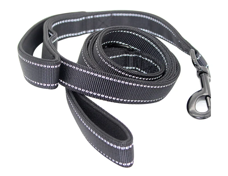 puppye leash