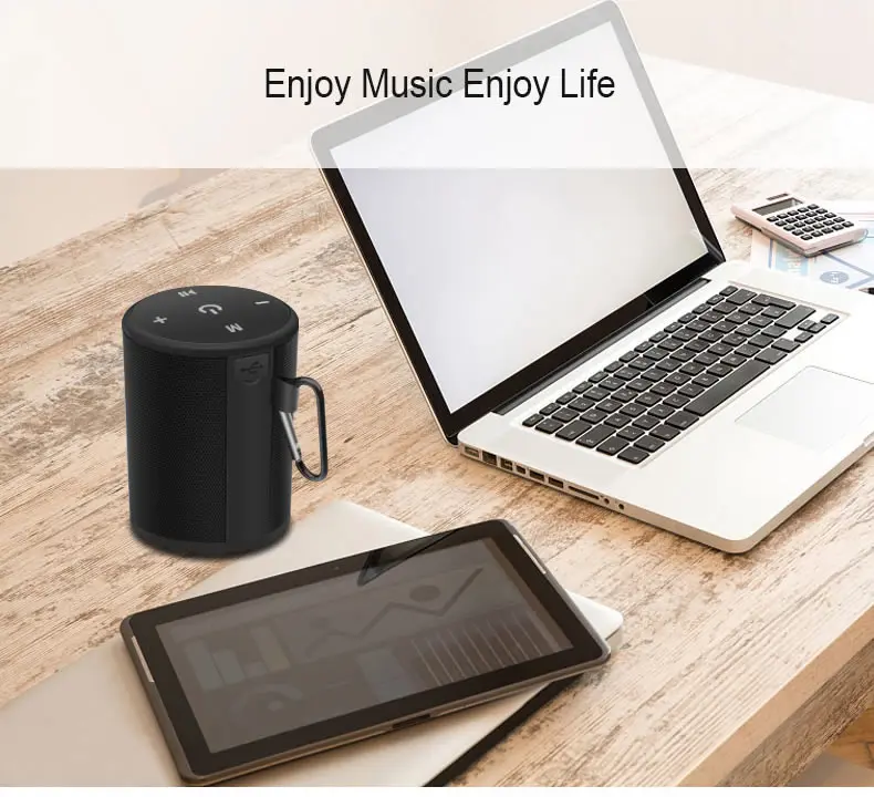 T2 MINI  (1)