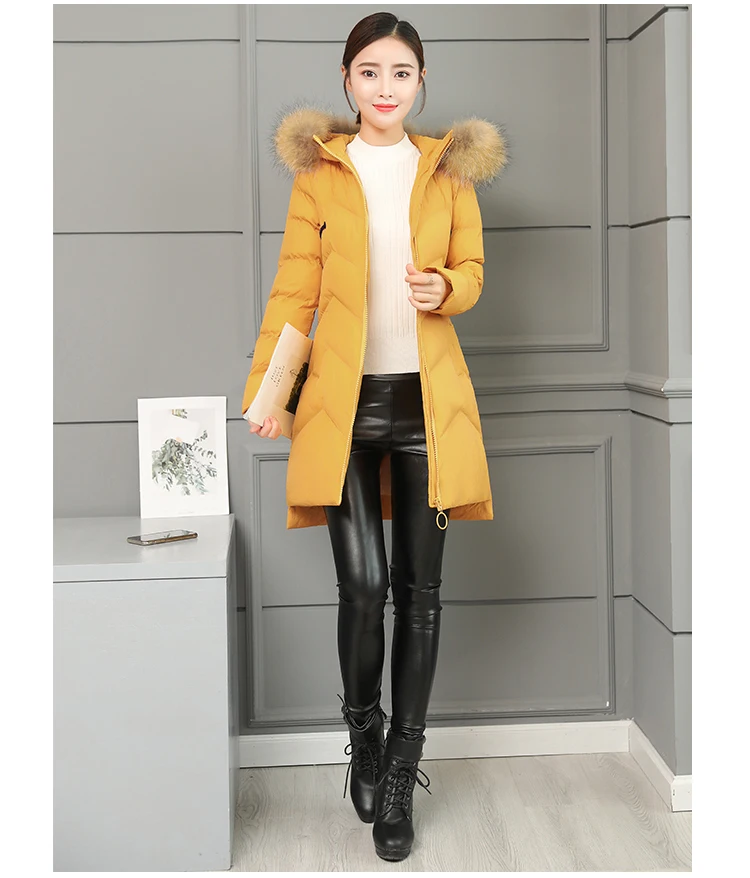 Jackets Women's Winter Long Jacket 2018 Cotton Padded Coat Women Fake Fur Collar Zipper Outwear Coats Female Slim Thick CH587 (8)
