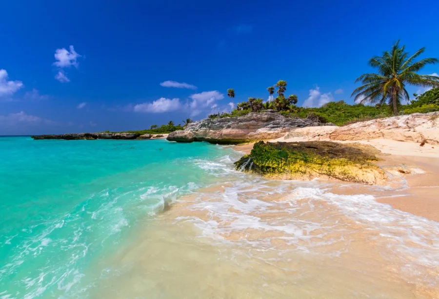 

Laeacco Sea Island Beach Blue Sky Tropical Scenic Photography Background Customized Photographic Backdrop For Photo Studio