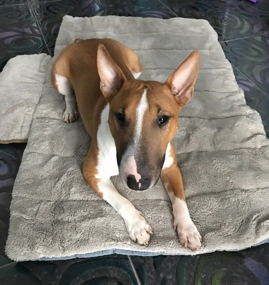 UT8k8T9X68aXXagOFbXr