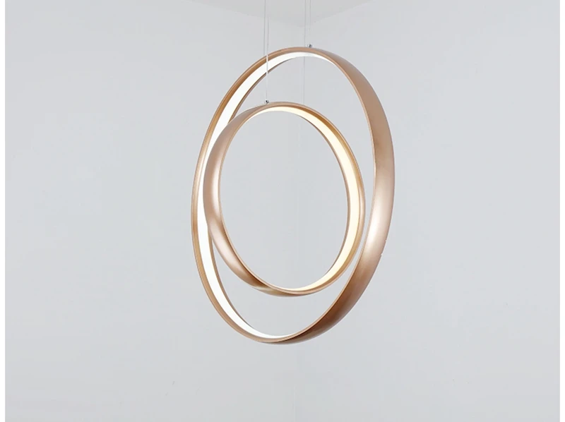 Nordic Creative LED Pendant Lights Lamp Minimalist Aluminum Double Ring LED Hanging Lighting For Dining Room Bar Cafe (9)