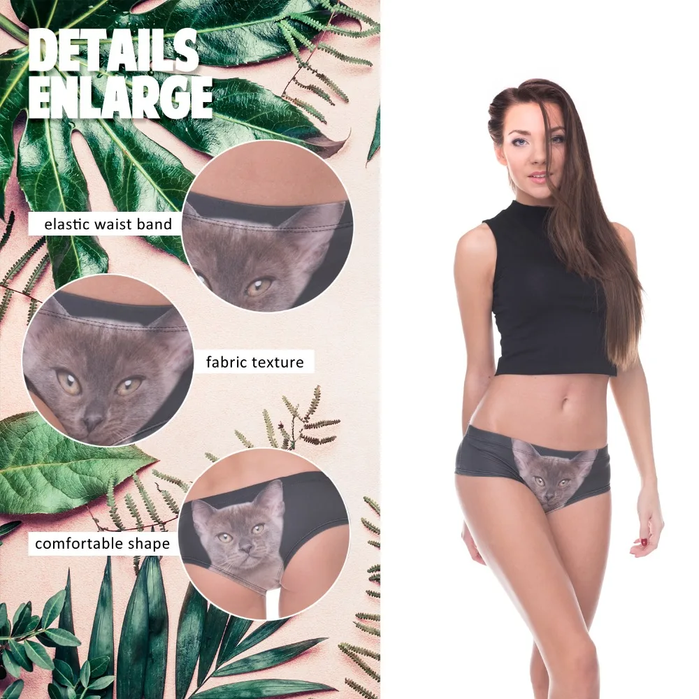 39427 kitty black (2)