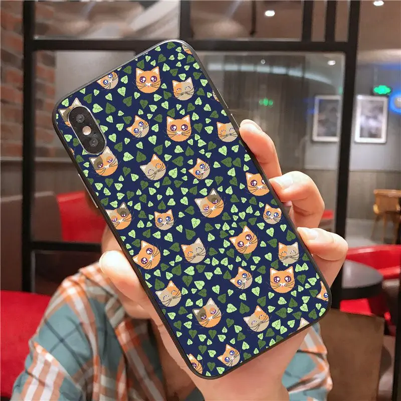 Kawaii lovely Cat 