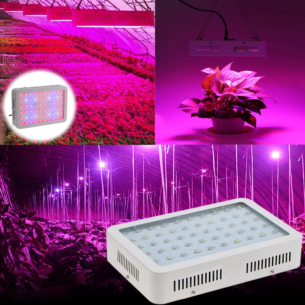 

60LEDs 20631LM Plant Grow Light 300W AC85-265V Full Spectrum Vegetables Herbs Flowers Bonsai Lamp Greenhouse Indoor