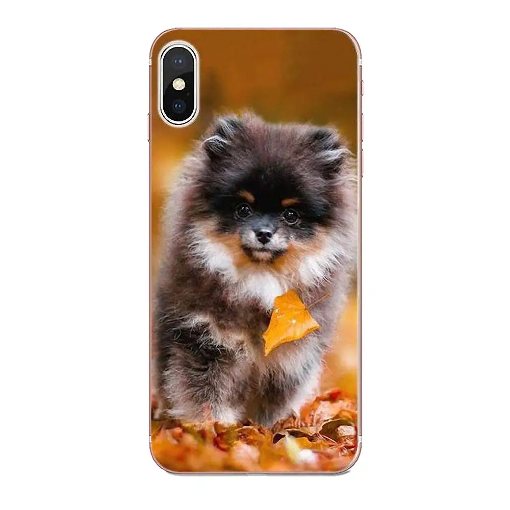 Pomeranian Dogs симпатичный чехол для Apple iPhone X XS Max XR 4 4S 5 5C 5S SE 6 6S 7 8 Plus Мягкий Силиконовый