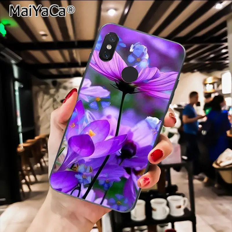 infinity on purple  Flower