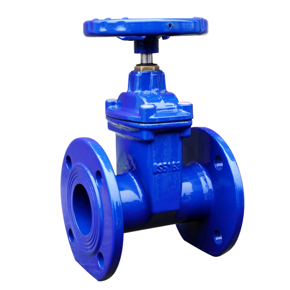 8 '' Flanged Resilient Seated Gate Valve