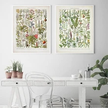 Pósteres e impresiones de plantas medicinales botánicas Vintage Poppy Foxglove Hyssop Lavender Late 1800s Repro lienzo pintura decoración de pared