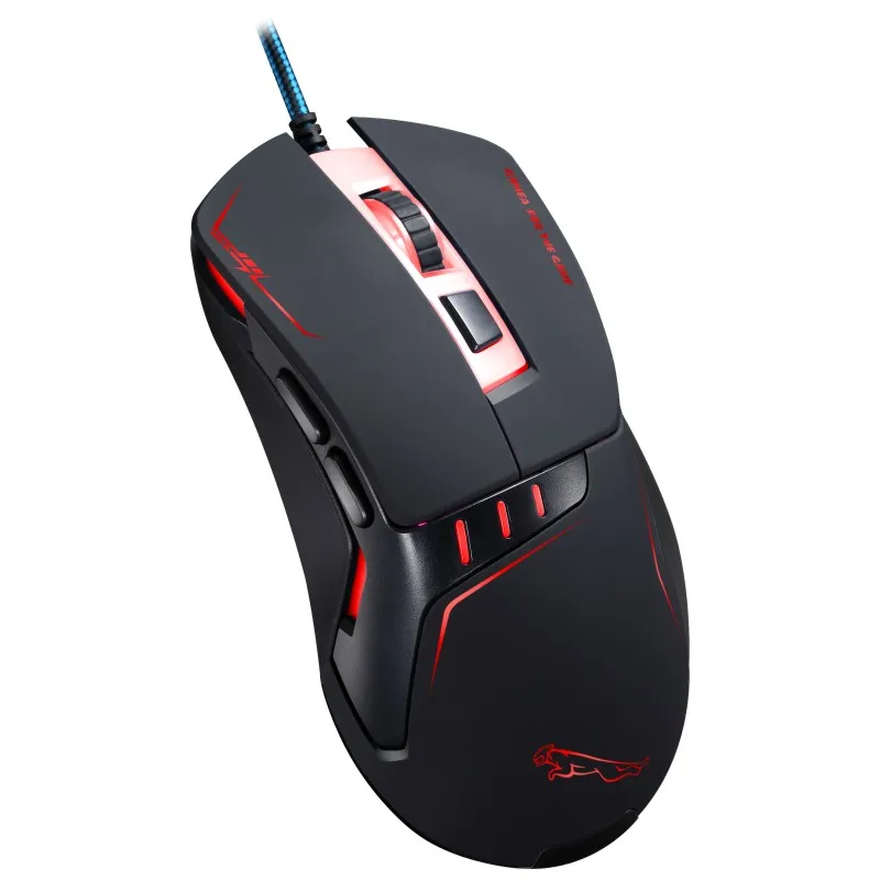 computer mouse