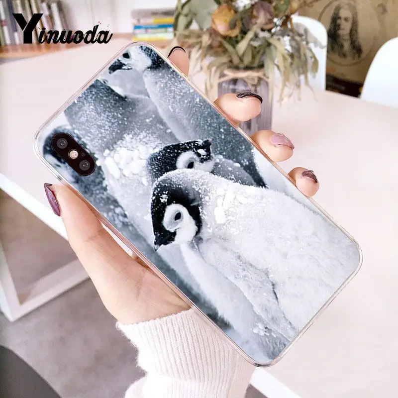 Cute Lovely Penguin