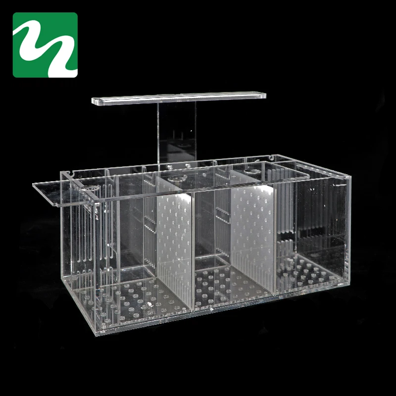 

1 Pc Three-grid Fish Tank With Light Isolation Style Acrylic Transparent Aquarium Water Pump Filter Free From Water Replacement