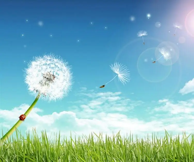 

100pcs Mini Dried Dandelion Flower For Epoxy Resin Pendant Necklace Jewelry Filler Making Craft DIY Accessories