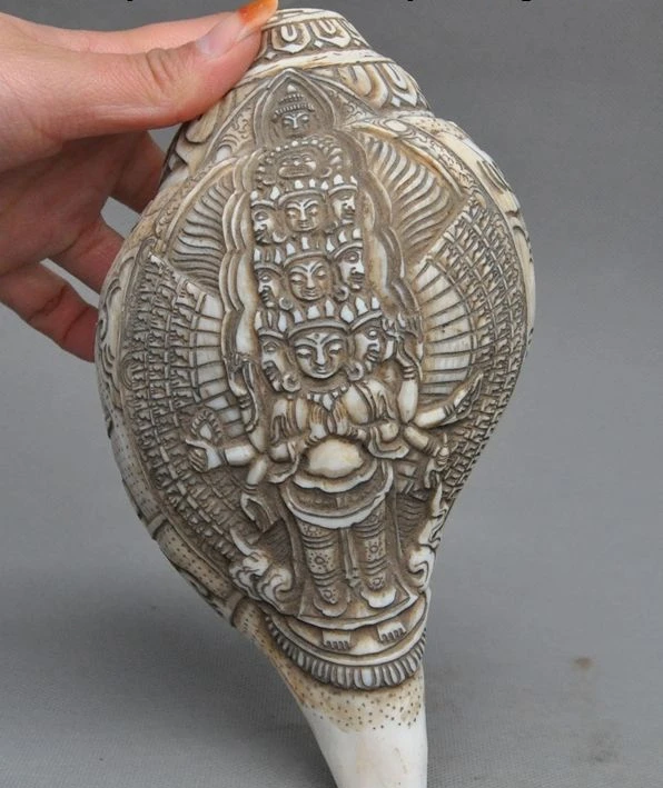 

7"Rare Old Tibet buddhism Conch Avalokitesvara GuanYin buddha Shell Seashell