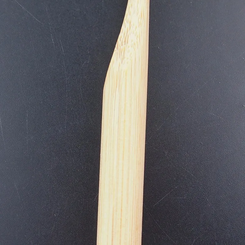 P1010295