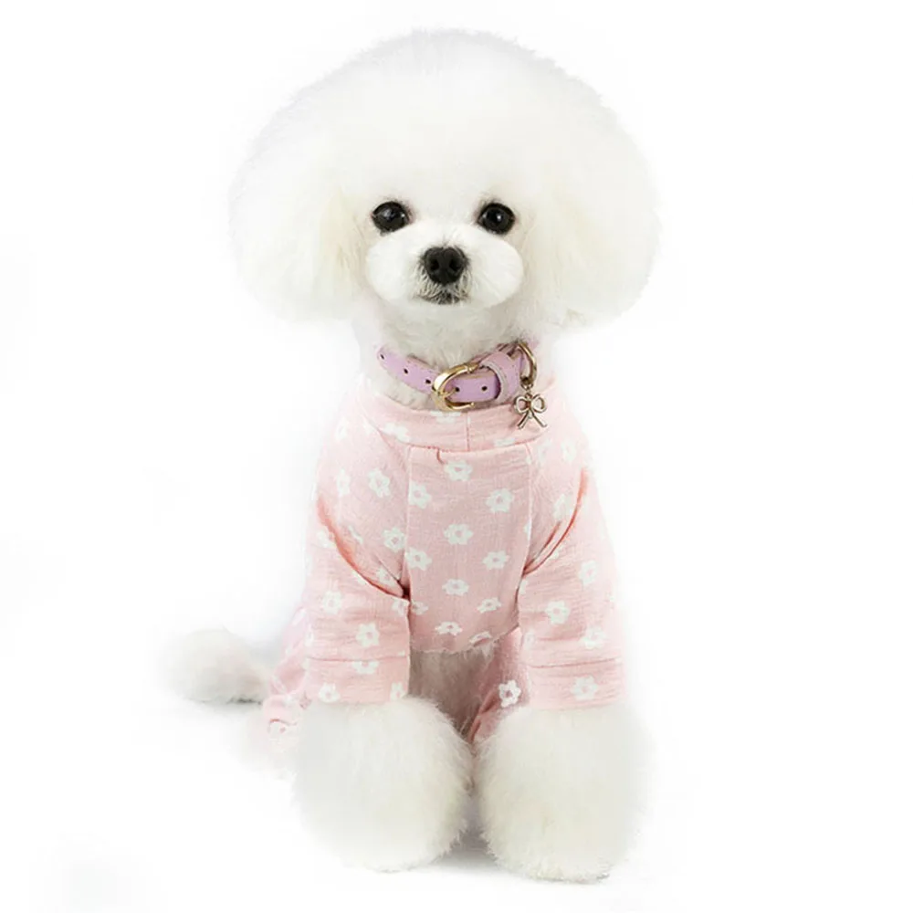 dog coat